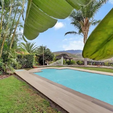 بيت للعطل Wooden House With Private Pool Lush Garden *